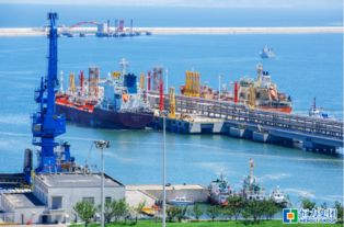 恒力股份著力推進(jìn)煉化一體化項目建設(shè) 謀求多方共贏